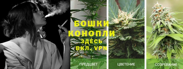 СК Балабаново