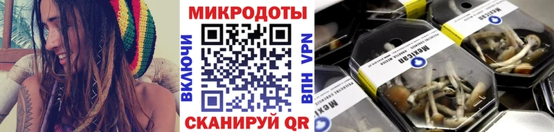 Галлюциногенные грибы ЛСД  Сланцы 